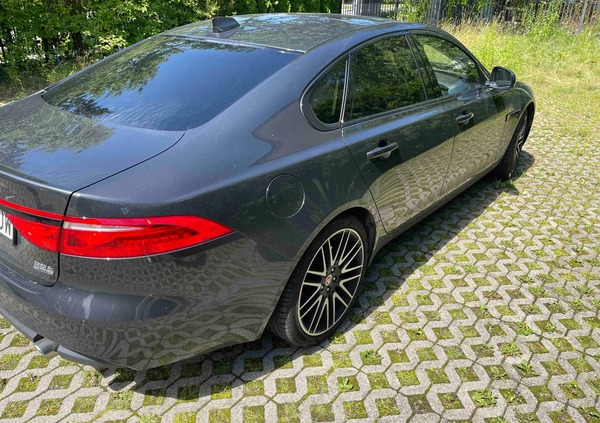 Jaguar XF cena 172200 przebieg: 90432, rok produkcji 2018 z Kleszczele małe 56